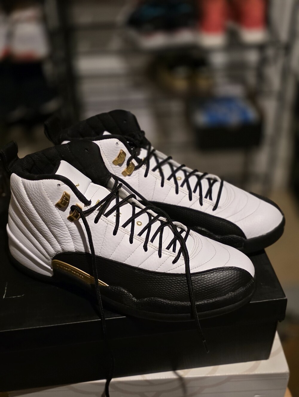 Men's White and Black Retro Basketball Sneakers with Gold Accents Royal Taxi